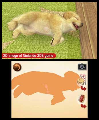 Immagine prodotto Nintendo Nintendogs + Cats: Golden Retriever (3DS, Multilingue)