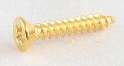 Image du produit AllParts AP GS 3397-002 HB-Ring Screws/8 gld 13mm (Pièces de rechange pour instruments)