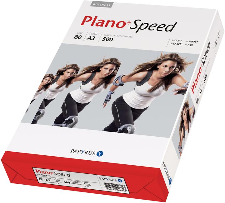 Papyrus Plano Seed (80 g/m², 500 x, A3)