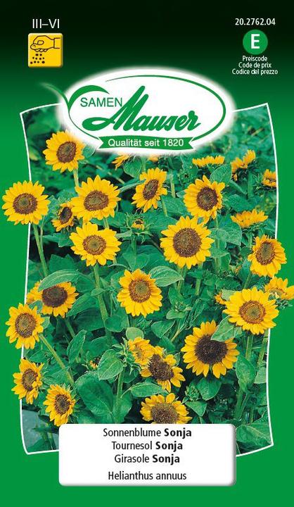 Immagine prodotto Samen Mauser Girasole Sonja (Semi di piante)