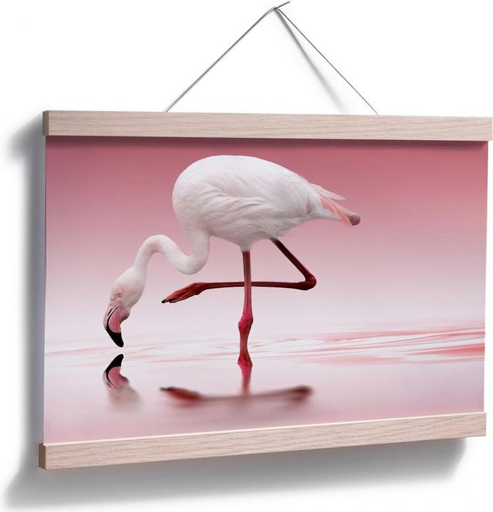 Produktbild Trenddeko Reindl - Pink Flamingo (140 x 90 cm)