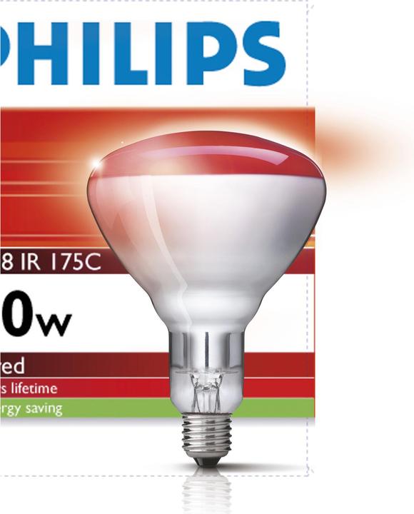 Philips Infralampe (150 W)