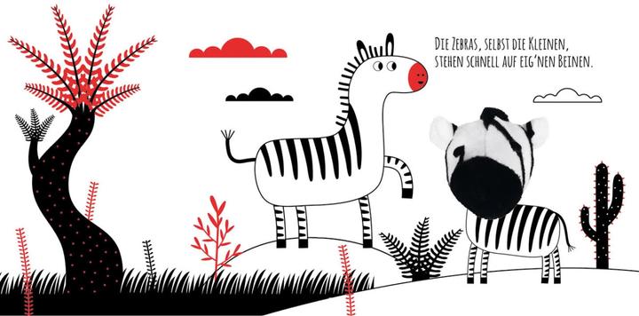 Immagine prodotto Kontrastbuch für Babys Guck mal, kleines Zebra (Tedesco)