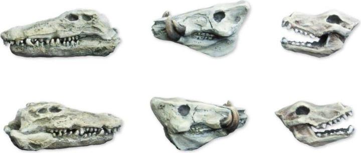 Image du produit Tabletop-Art Accessoires Animals Skulls Set 6 pièces (Matières plastiques)