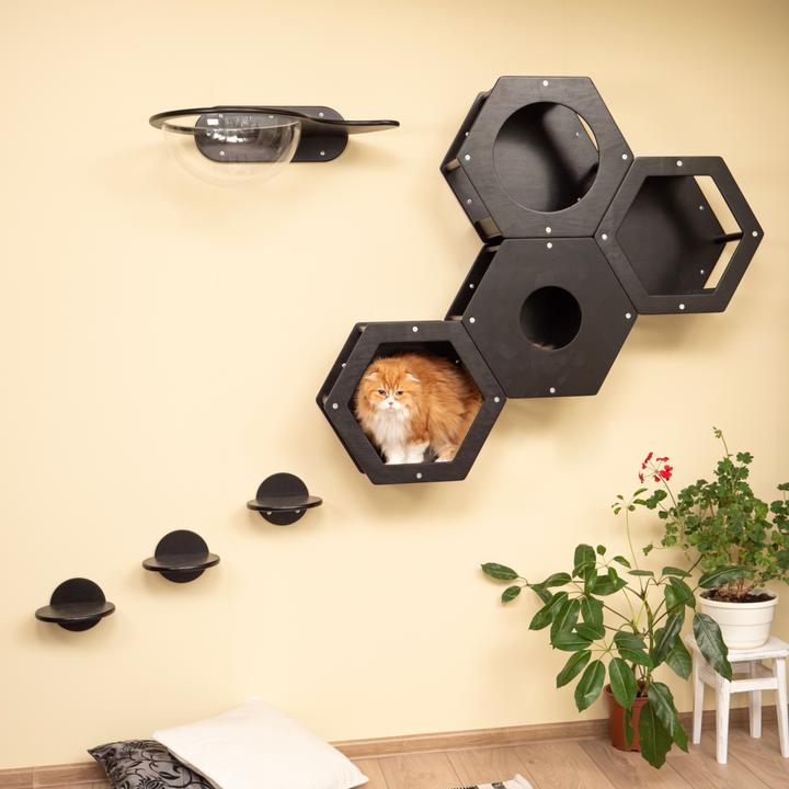 Immagine prodotto Wowhelperco Parete da arrampicata per gatti 8 pezzi (Nero)