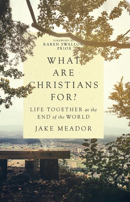 Produktbild What Are Christians For?: Life Together at the End of the World (Englisch, Jake Meador, Karen Swallow Prior, 2022)