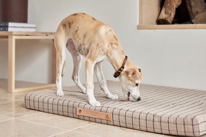 Actual product image Oyoy Milo (Dog)