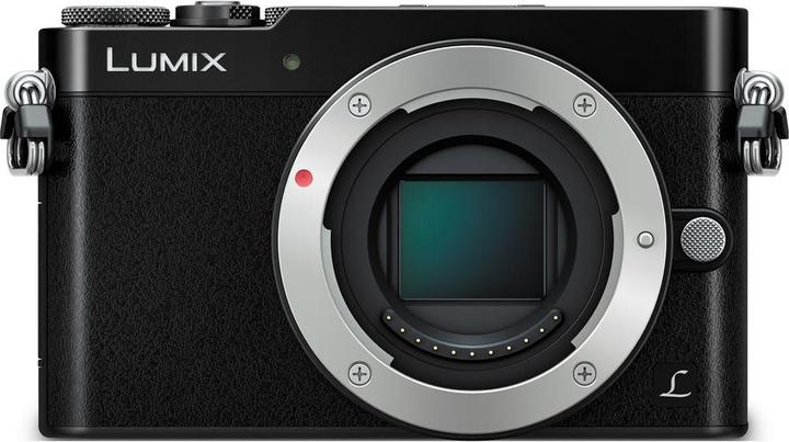 Panasonic Lumix GM5 (16 Mpx, Micro Four Thirds)