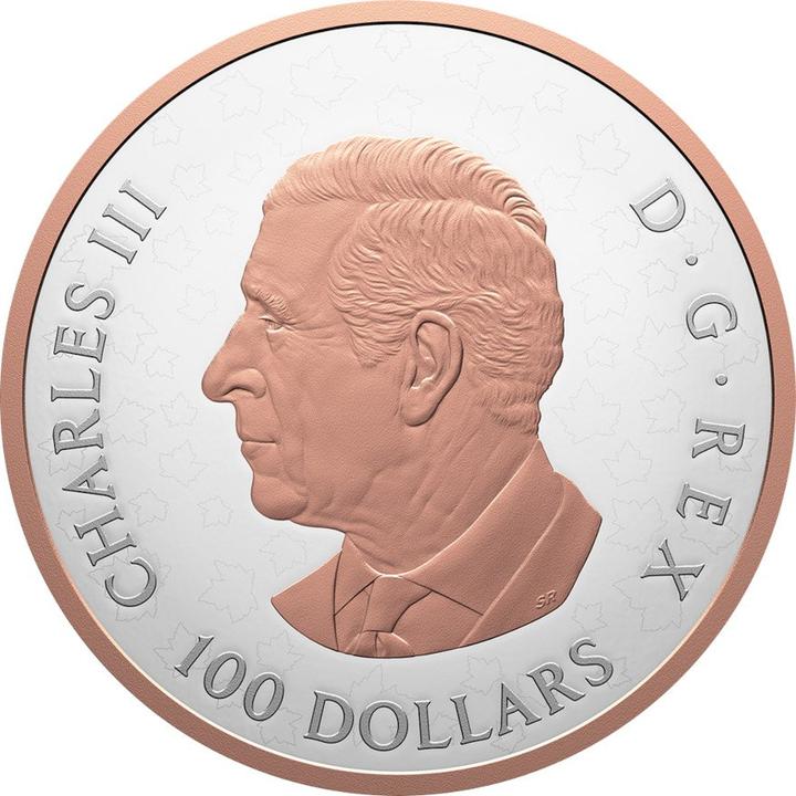 Immagine prodotto The Royal Mint Silber Gleaming Maple Leaf 10 oz PP - 2025 (1.00, 2025)