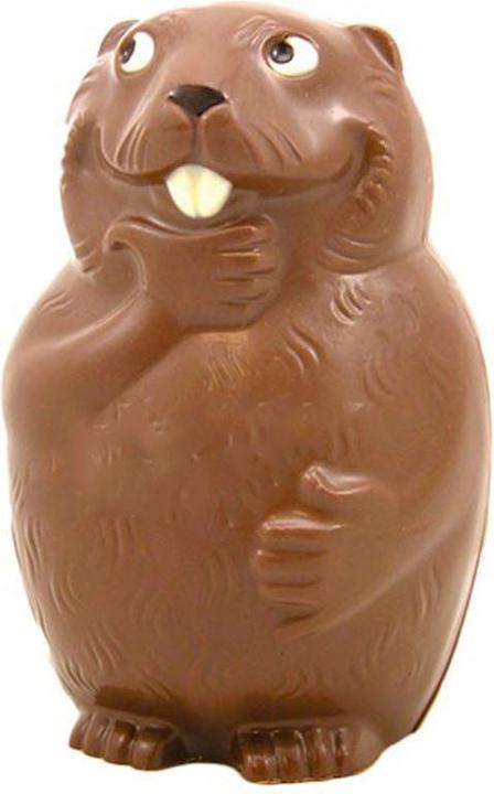 JKV Chocolate mold beaver