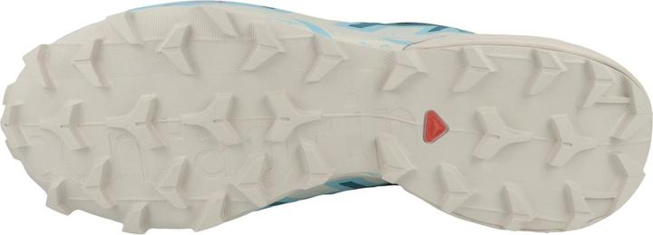 Immagine prodotto Salomon Speedcross  GTX (43 1/3)