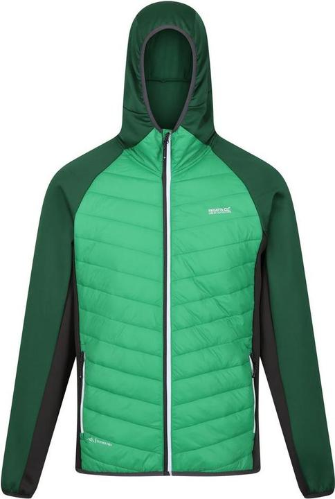 Green, JUF field greenedenash