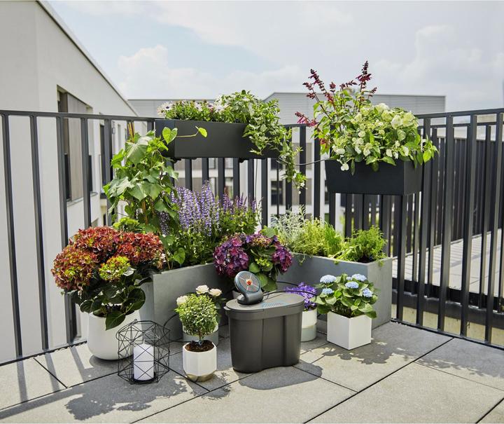 Immagine prodotto Gardena Set AquaBloom (Set per l'irrigazione a goccia)