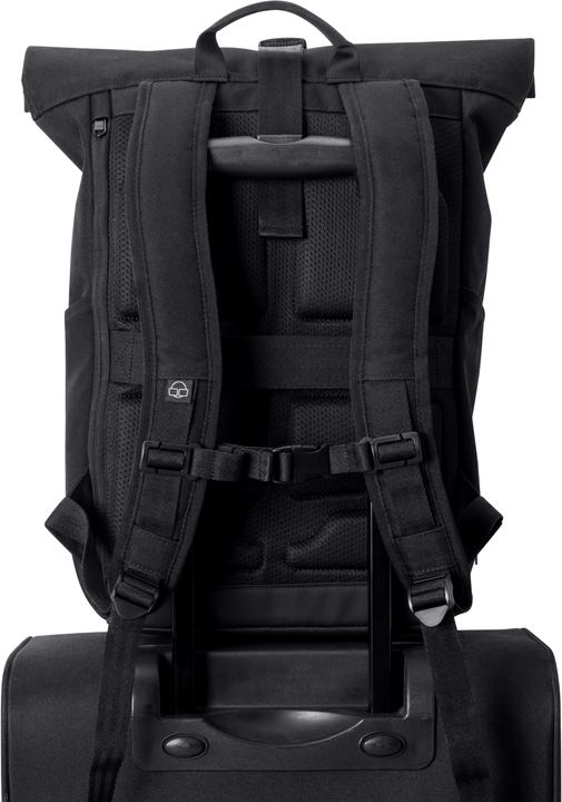 Image du produit Johnny Urban Allen (18.50 l)
