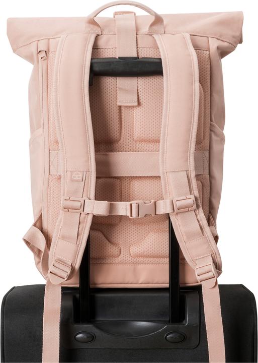 Image du produit Johnny Urban Allen (18.50 l)