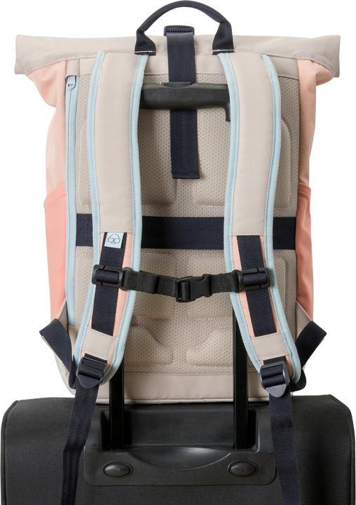 Immagine prodotto Johnny Urban Allen (18.50 l)