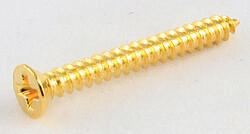 Actual product image AllParts AP GS 0008-002 HB-Ring Screws/8 gld 19mm (Instrument spare parts)