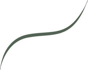 Produktbild L'Oréal Paris Infaillible Grip 36H Micro-Fine Brush Eye Liner (05 Sage Green)