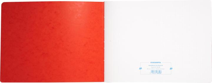 Image du produit Exacompta Livres de comptes (25 x 32 cm, Quadrillé, Couverture rigide)
