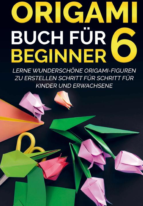 Image du produit Origami Buch für Beginner 6 : Lerne wunderschöne Origami-Figuren zu erstellen Schritt für Schri (Allemand, Yuto Kanazawa, 2021)
