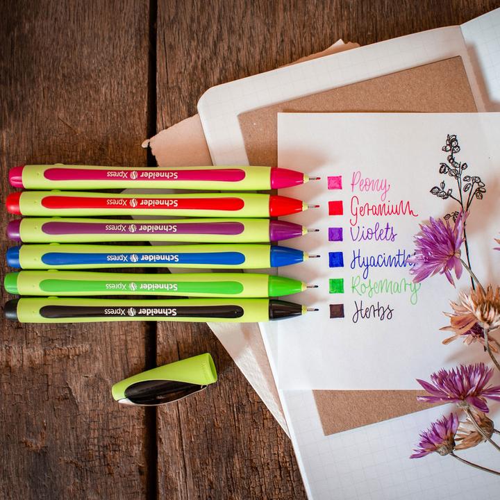 Immagine prodotto Schneider Fineliner Xpress (Azzurro, 1 x)