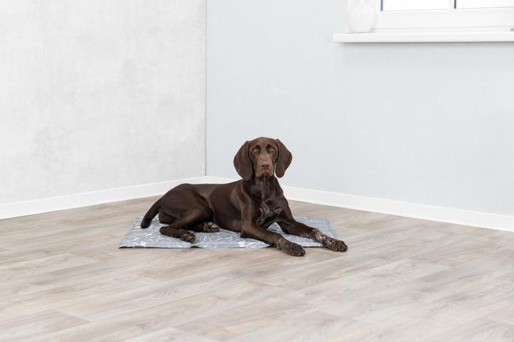Actual product image Trixie Soft (Dog)