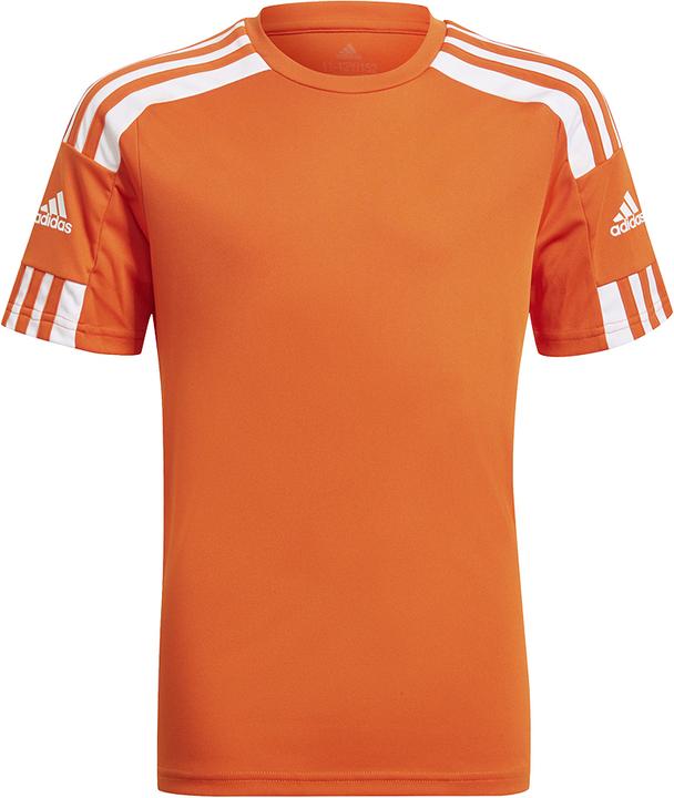 adidas Squadra 21 Trikot Kinder (164)