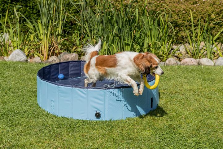 Produktbild Trixie Hundebecken, 80 x 20 cm, Hellblau (Hundepool)