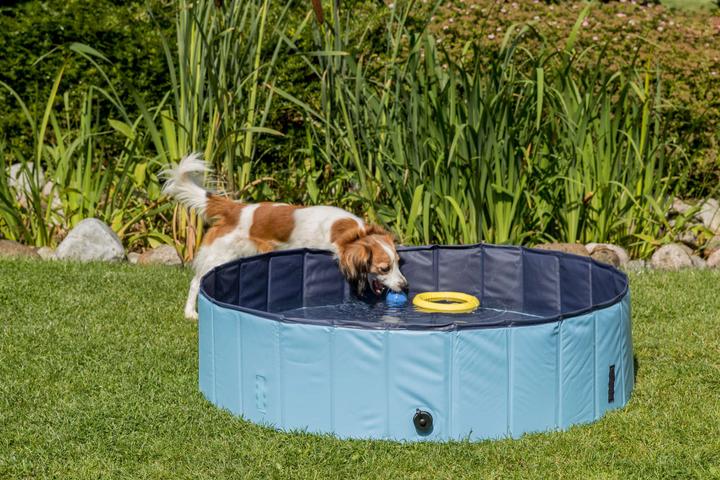Produktbild Trixie Hundebecken, 80 x 20 cm, Hellblau (Hundepool)