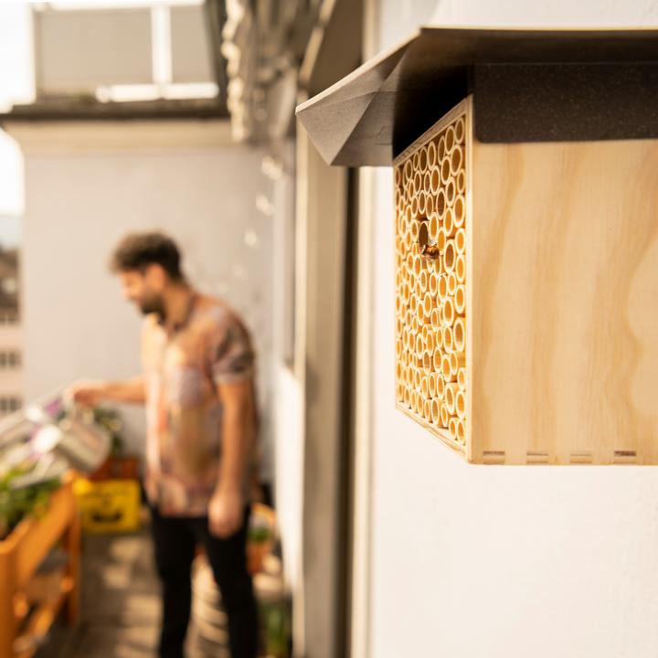 Immagine prodotto Wildbiene BeeHome One (Api)