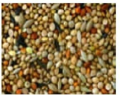 Produktbild Schweizer Exotenfutter (1 x, 1 kg)