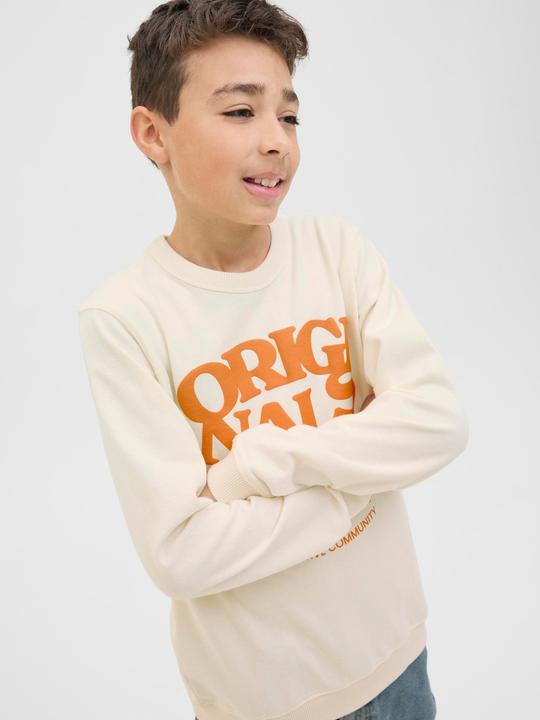 Produktbild Jack & Jones Gedruckt Sweatshirt Junior Sweatshirt (164)