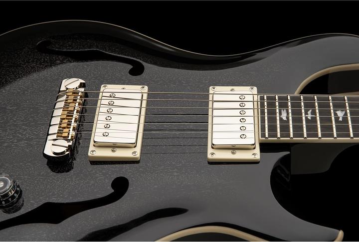 Produktbild PRS SE Hollowbody Standard | Dog Hair Smokeburst (E-Gitarre, Mahagoni, mahogany)