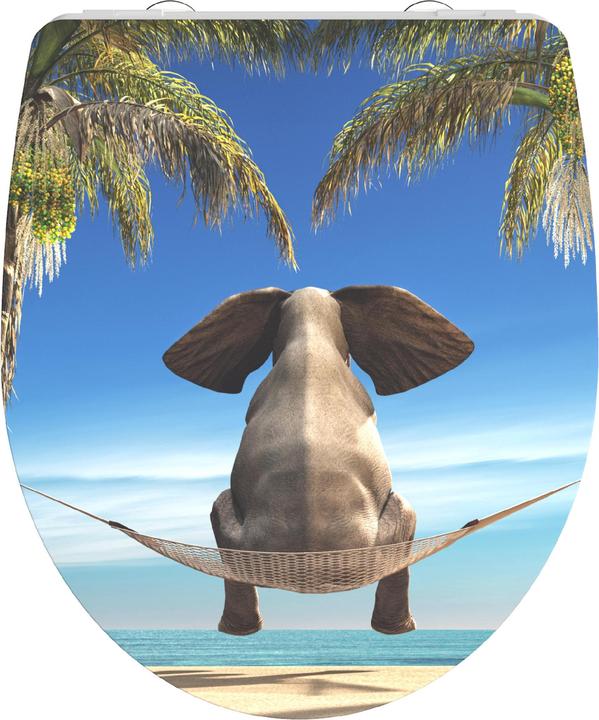 Elefante felice