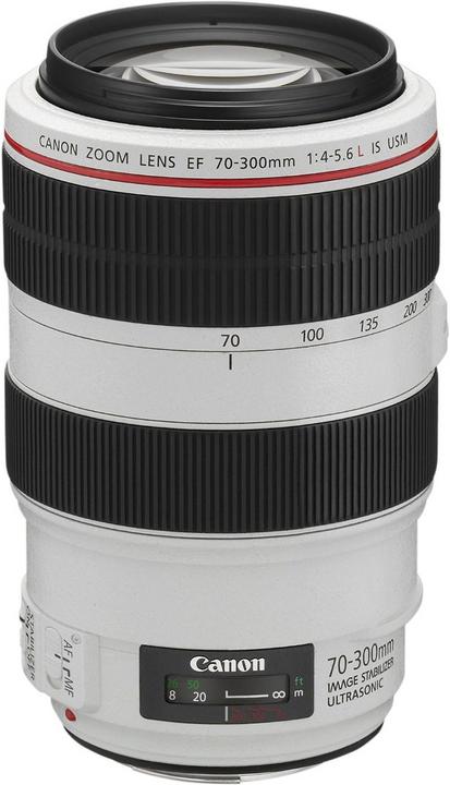 Produktbild Canon EF 70-300mm f/4-5.6L IS USM (Canon EF, Vollformat)