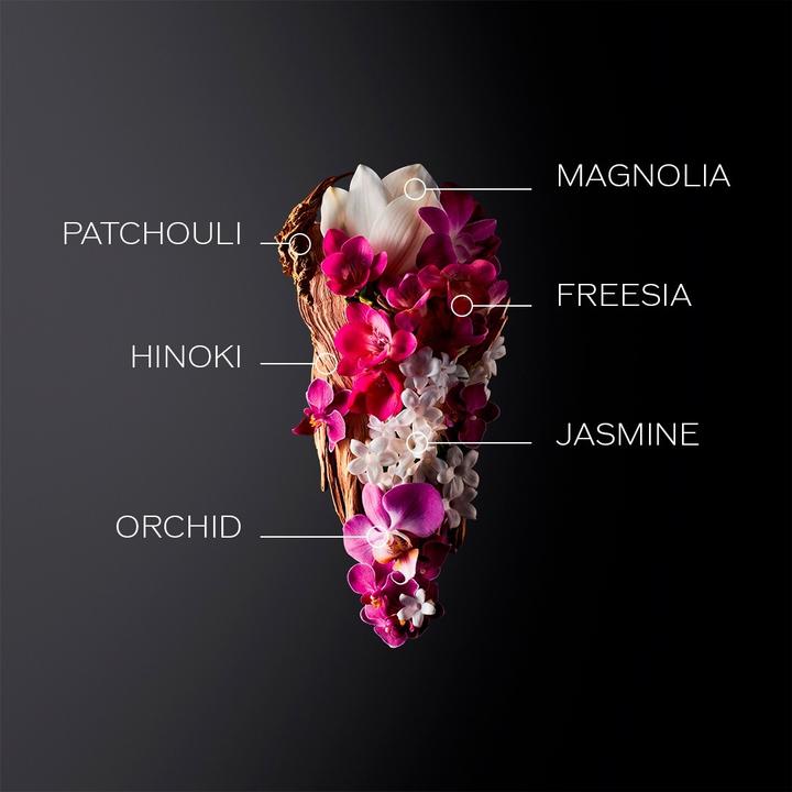 Image du produit Shiseido Promotions - Ginza Eau De Parfum Holiday Kit (Set parfum)
