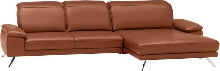 Cat. 160, Brandy La Tempra