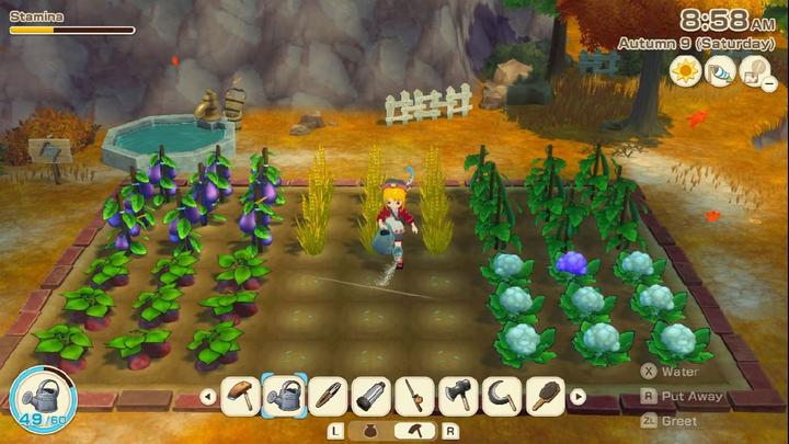 Actual product image Marvelous Story of Seasons: Grand Bazaar NSW2 (Switch 2, DE)