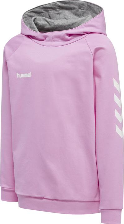 Image du produit hummel Go Kids Hoodie En Coton (176)