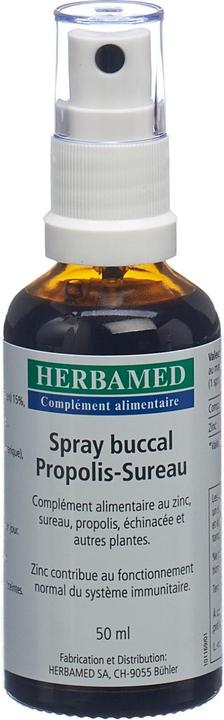 Actual product image Herbamed Propolis-Holunder Mundspray (1 Piece, Spray, 114 g)
