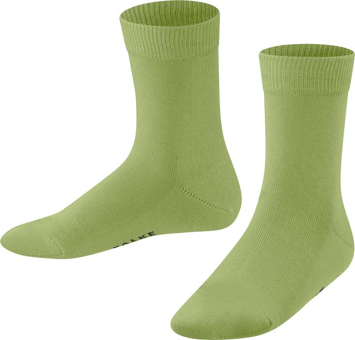 Bambù