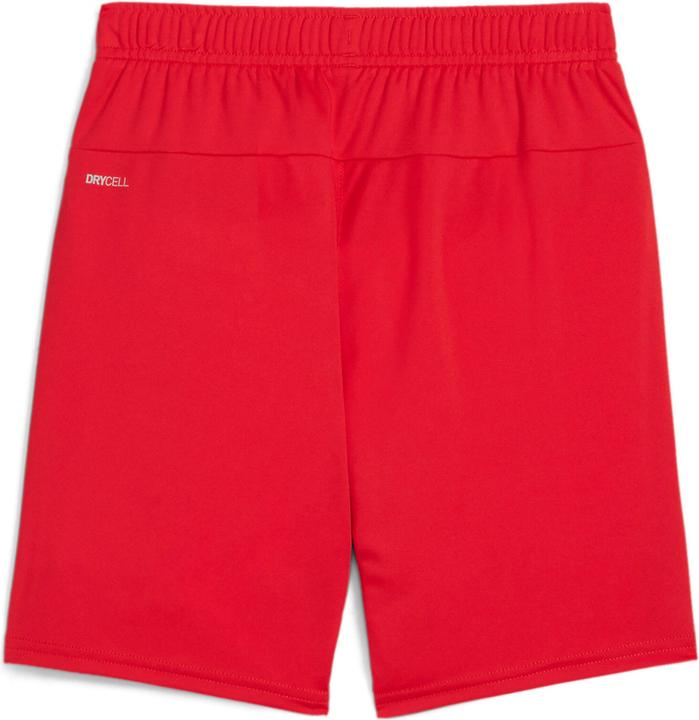 Immagine prodotto Puma Pantaloncini TeamGOAL Jr (XL)