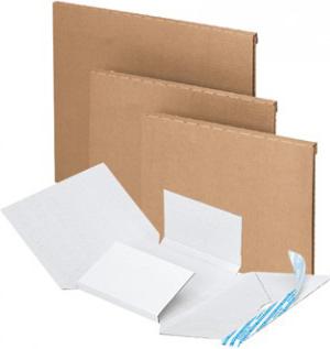 Produktbild Brieger Versandkarton mit Einstecktasche (0.5 x 60 x 78.5 cm, 1 x)