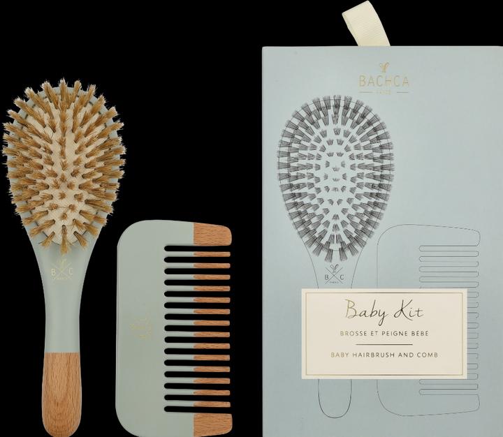 Bachca Paris Baby Blue Brush Set