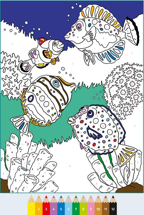 Image du produit Ravensburger CreArt Peinture par numéros 7 et plus : Dans la mer, livre de coloriage, 24 motifs