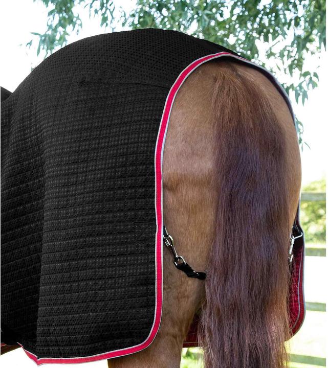Produktbild Premier Equine Dry-Tech (191 cm)