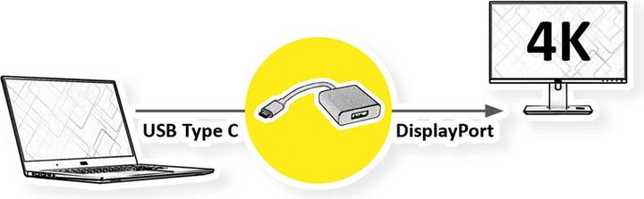 Actual product image Roline USB-C to (DP, 10 cm)