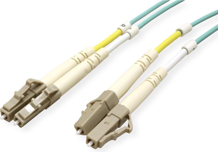 Actual product image Rotronic Fibre optic cable (5 m)