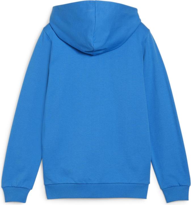 Actual product image Puma teamGOAL Casuals Hooded Jacket Jr (152)