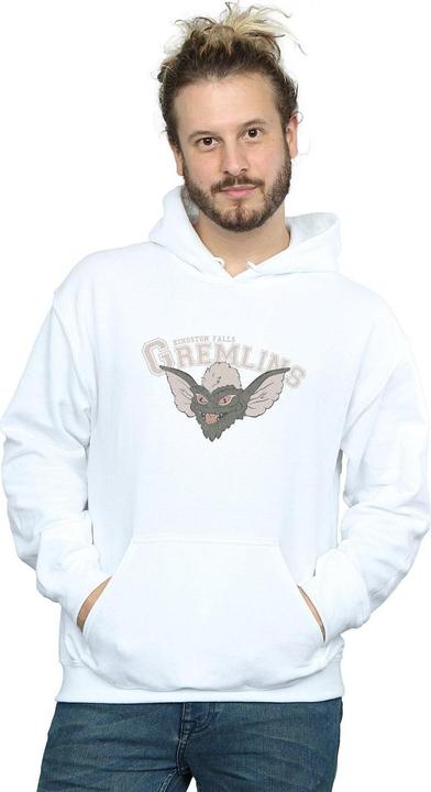 Image du produit Universal Textiles - Sweat à capuche KINGSTON FALLS SPORT - Homme (L)